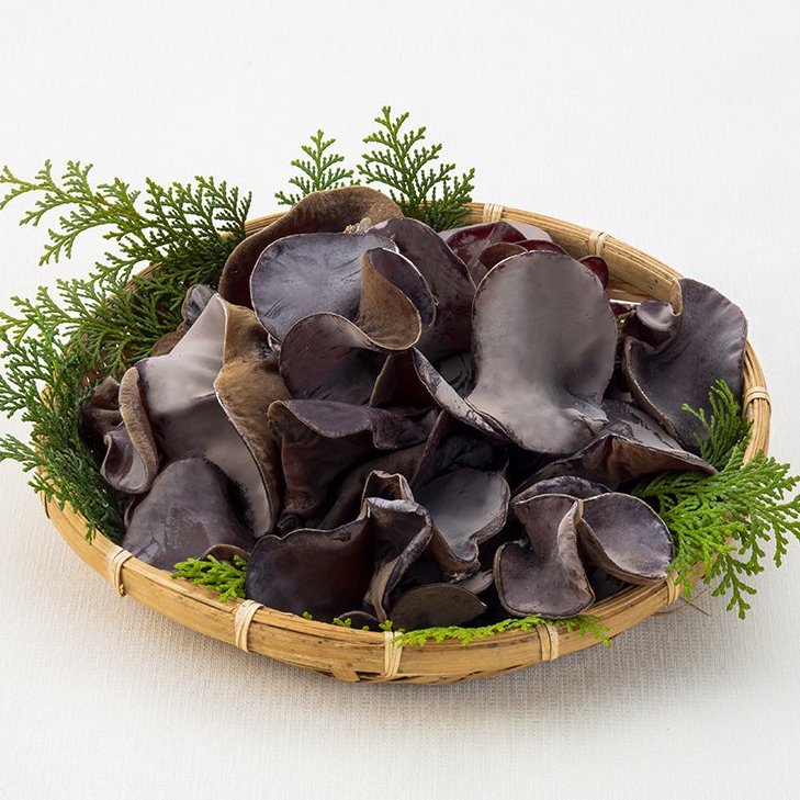 Wood Ear Mushroom (kikurage) 新鮮木耳